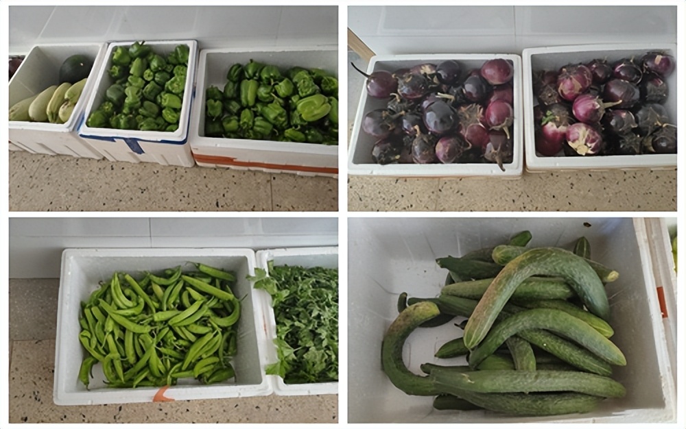 长治市第二十中学校开展献爱心绿色蔬菜义卖活动