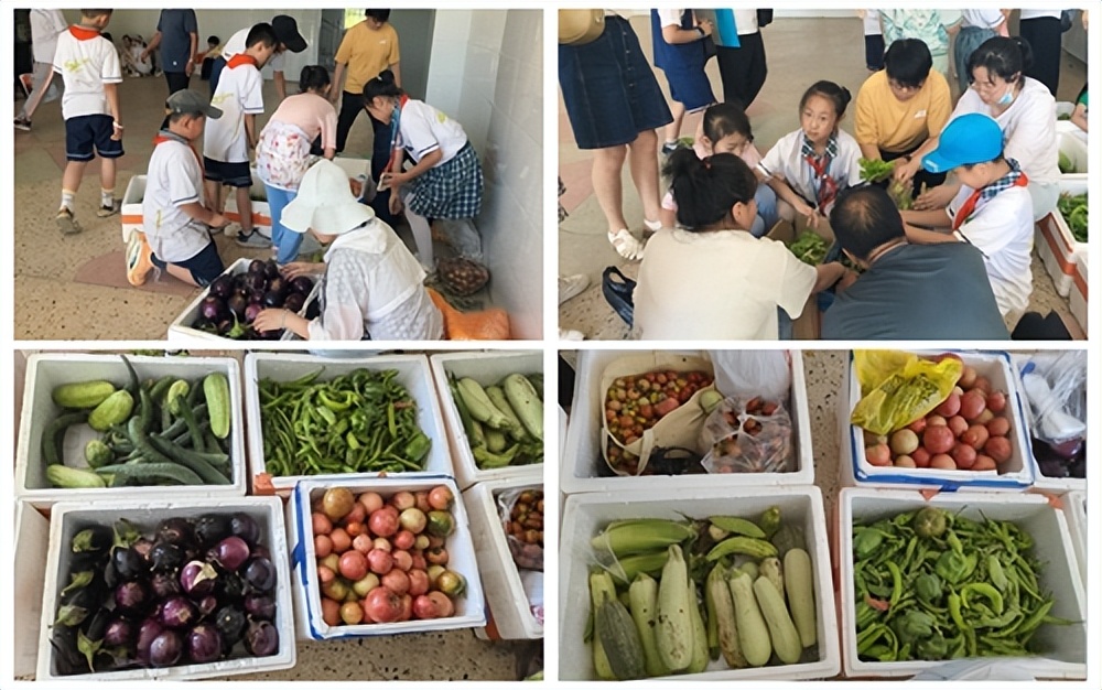 长治市第二十中学校开展献爱心绿色蔬菜义卖活动