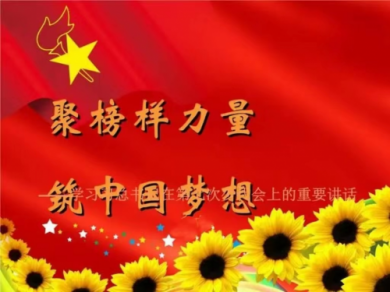 中国发展报道特别报道著名中医——赵秀花