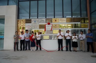 <strong>广东韶关新丰县首家医学博士工作站揭牌成立</strong>