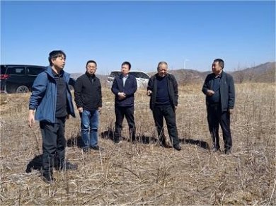 <strong>灵丘县邀请国家荞麦体系专家调研指</strong>