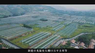 深耕深山兴产业 联农共富谱新篇—淄博淄川佰兴依政